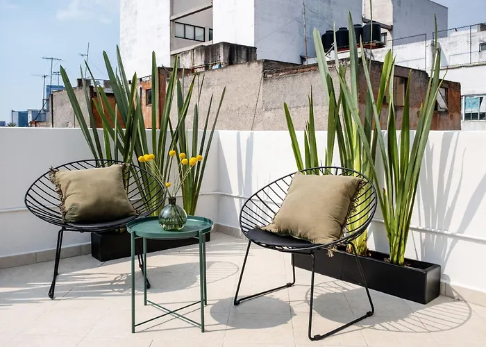 Amazinn Collection Cdmx Insurgentes Ii *